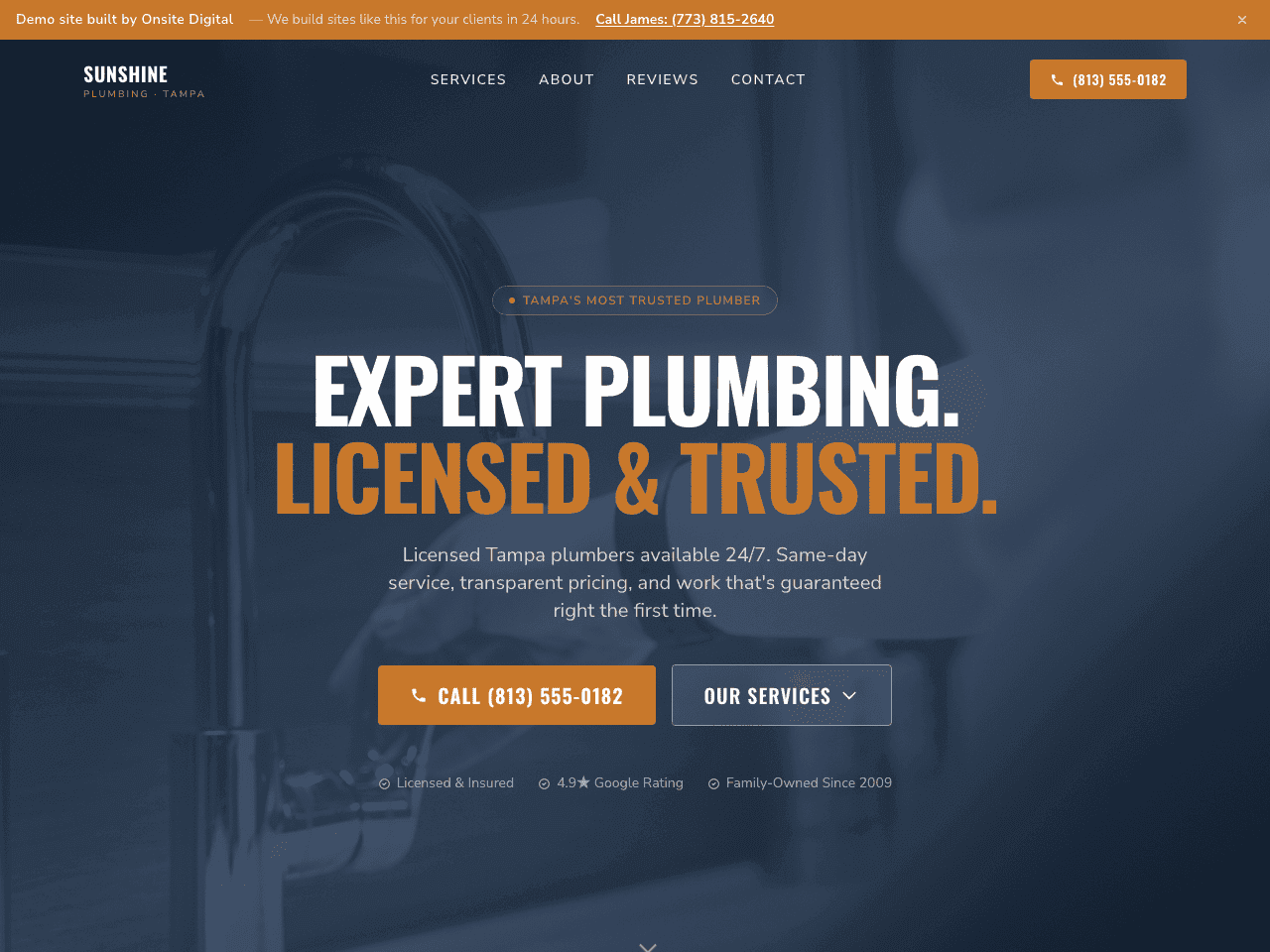 Sunshine Plumbing of Tampa demo site